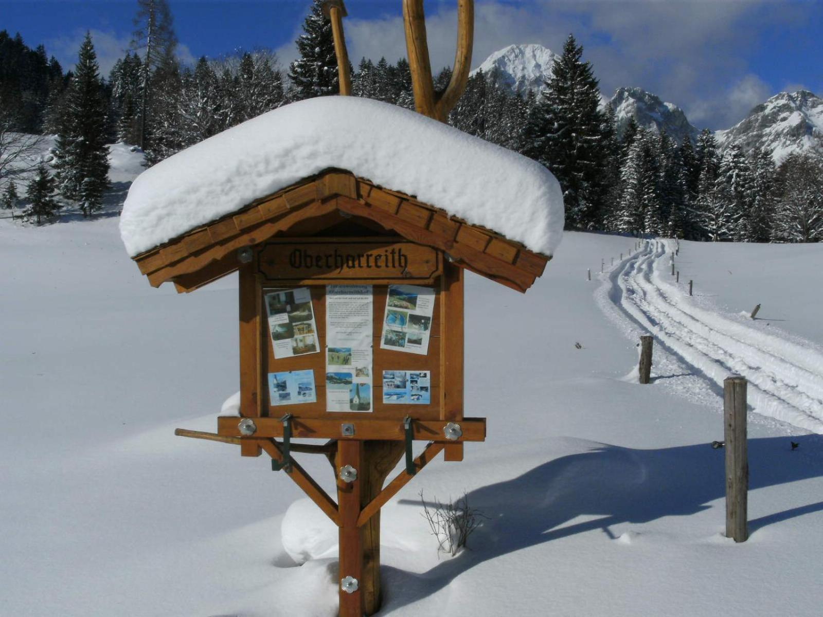 Vila Oberharreithhof Sankt Martin am Tennengebirge Exteriér fotografie