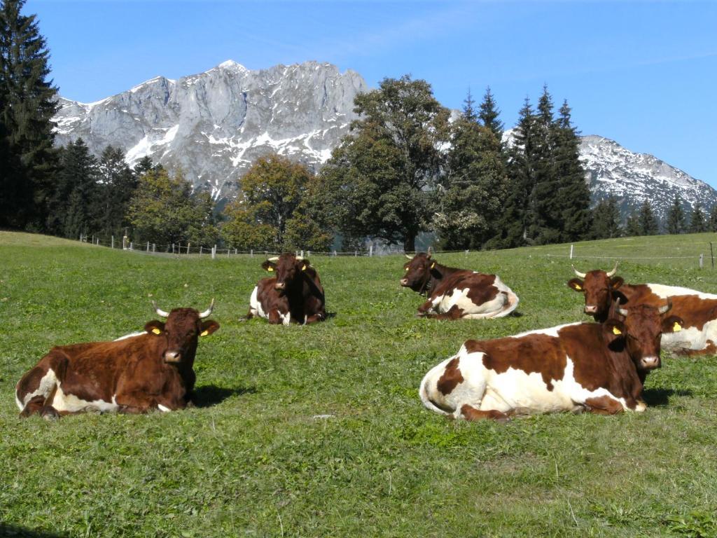 Vila Oberharreithhof Sankt Martin am Tennengebirge Exteriér fotografie