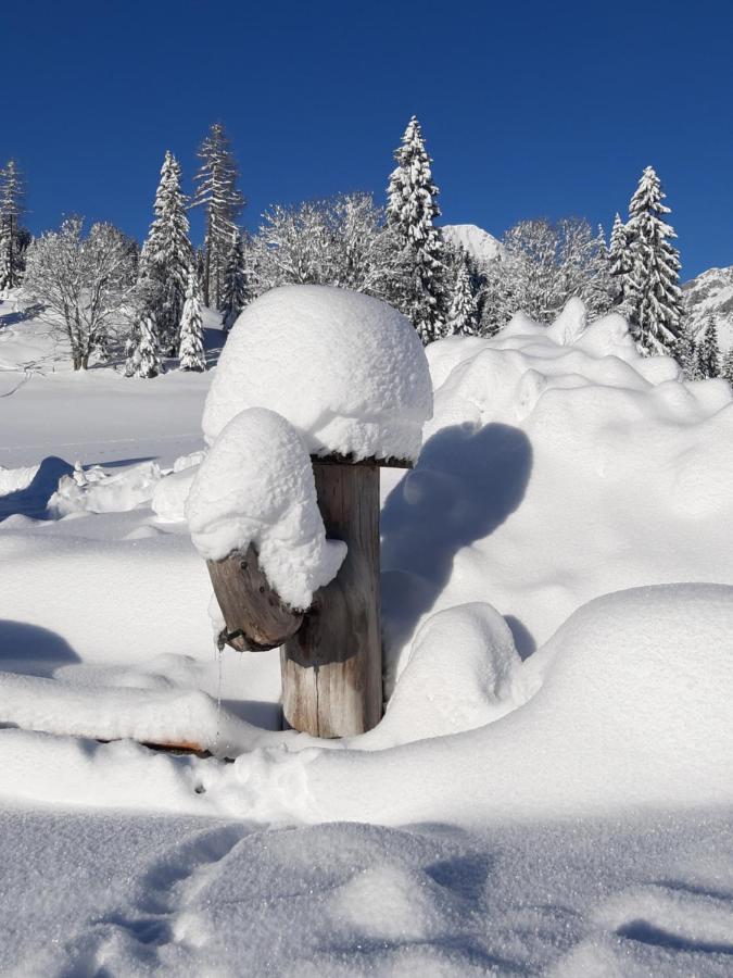 Vila Oberharreithhof Sankt Martin am Tennengebirge Exteriér fotografie